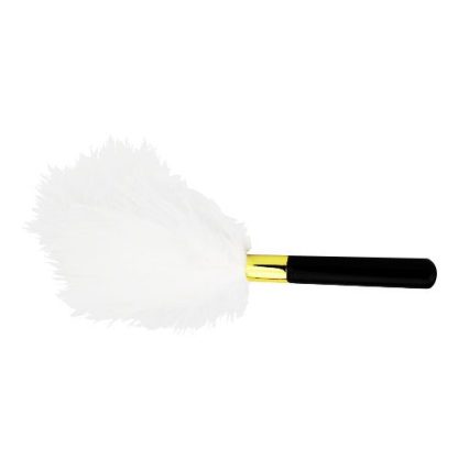 Bound to Play. Feather Teaser - Image 3