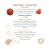 Adrien Lastic Harmony Stones Kegel Balls - Image 13