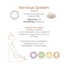 Adrien Lastic Harmony Stones Kegel Balls - Image 14