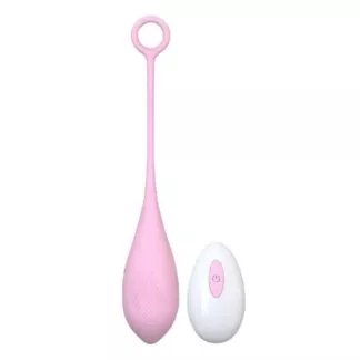 Loving Joy Remote Controlled Vibrating Egg