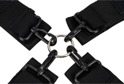 Loving Joy Hog Tie Set - Image 5