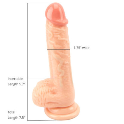 Loving Joy Realistic Dildo with Balls and Suction Cup 7.5 Inch - Image 6